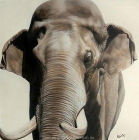 Airbrush Elefant
